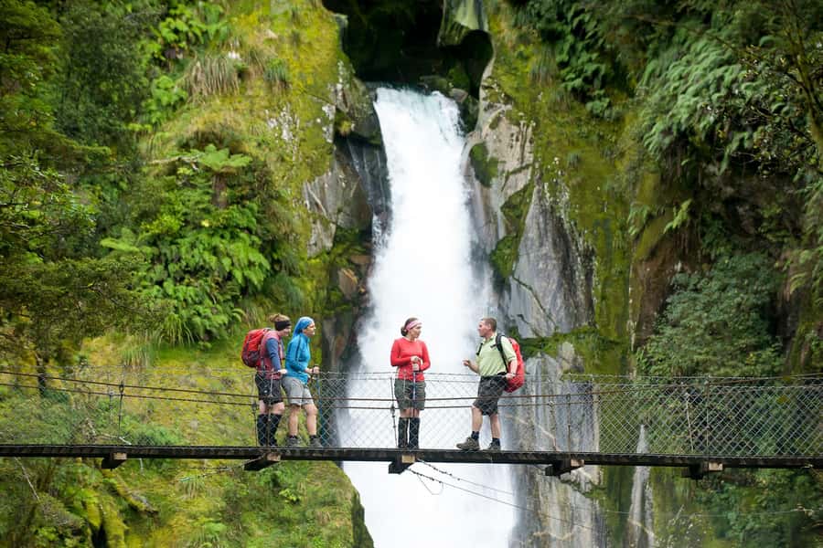 Milford Track: Full Day Guided Hike and Nature Cruise - Milford Track and Milford Sound in One Tight 7-Hour Day