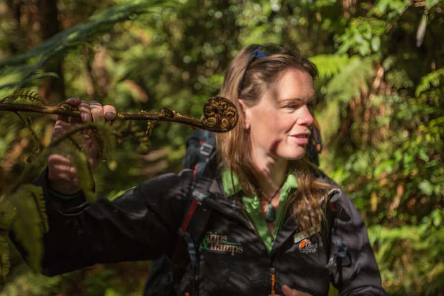 Milford Track: Full Day Guided Hike and Nature Cruise - Getting There From Te Anau: the 6AM reality check