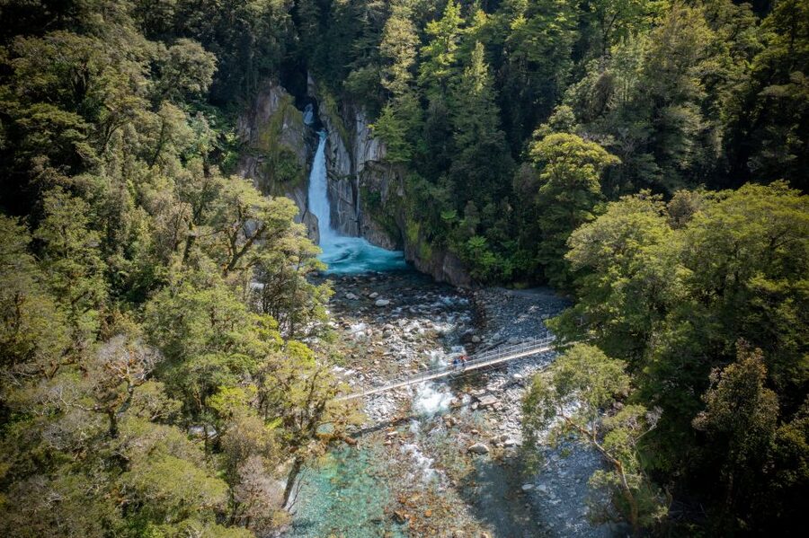 Milford Track: Full Day Guided Hike and Nature Cruise - Starting at Mitre Peak Cruises: what your morning actually looks like