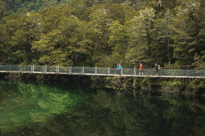Milford Track Multi-Night Hike - Water Taxi Transport - Staff Help That Makes Planning Feel Less Fragile