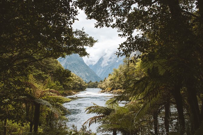 Milford Track Multi-Night Hike - Water Taxi Transport - Price and Value: Is $152.04 Worth It?