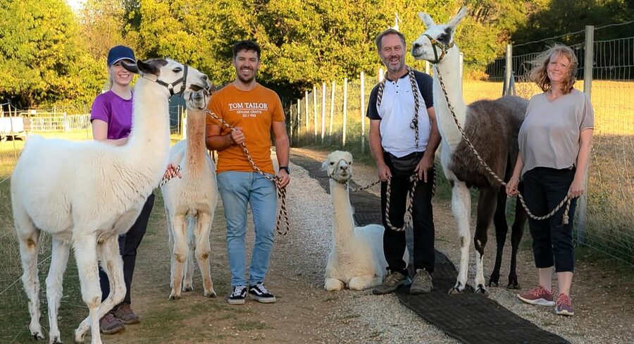 Mödling/Vienna: Scenic Guided Hike with Alpacas and Llamas - Back to the Farm: The License, the Wool Goods, and Closure