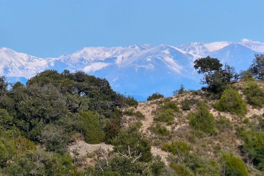 Montserrat: 6-Hour Tour with a Choice of 3 Levels of Hiking - Montserrat is more than a church stop