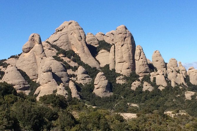 Montserrat Hiking Experience & Monastery Premium Small Group Tour - After the hike: monastery area time, market bites, and souvenirs