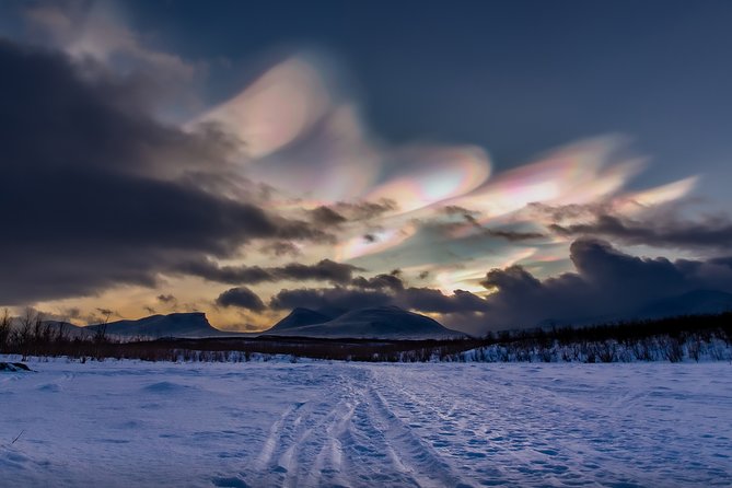 Morning hike in Abisko National Park - Wildlife spotting in winter: reindeer, tracks, and the “signs win” mindset