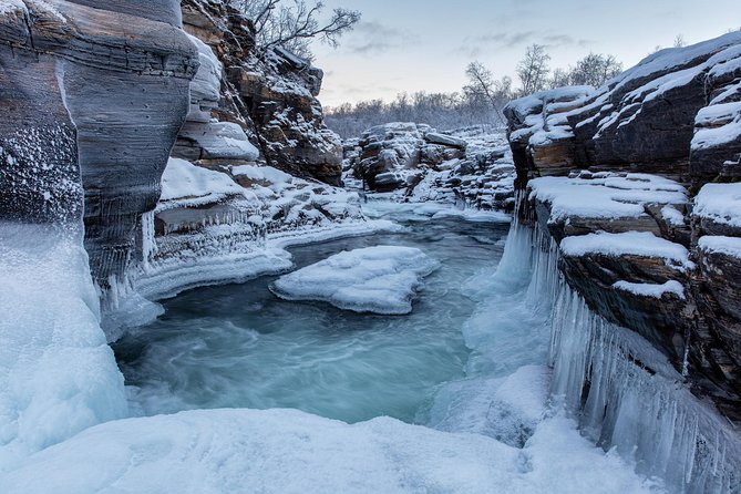 Morning hike in Abisko National Park - Guides and interpretation: what makes it feel personal
