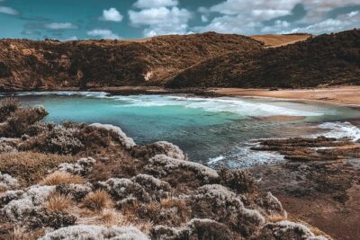 Mornington Peninsula Hike and Hot Springs Day Tour - 8 people max - Bushrangers Bay hike: kangaroos, lighthouse views, and rocky coast