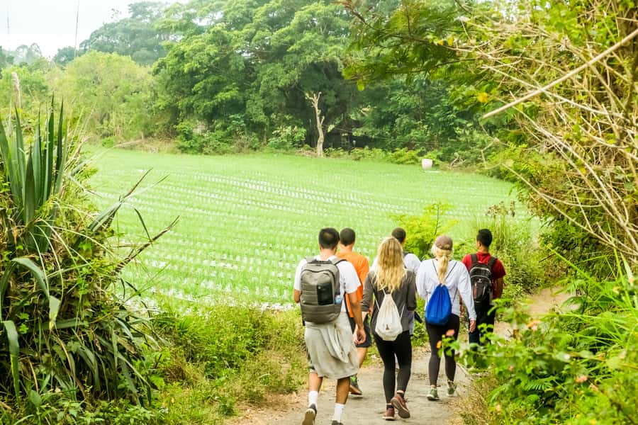 Mount Batur: 2D1N Kintamani Tour with Private Sunrise Hiking - Why staying in Kintamani makes the 3:30 AM start feel less rough