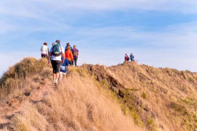 Mount Batur: 2D1N Kintamani Tour with Private Sunrise Hiking - Day 1: Tegalalang Rice Terrace and the coffee-country detour