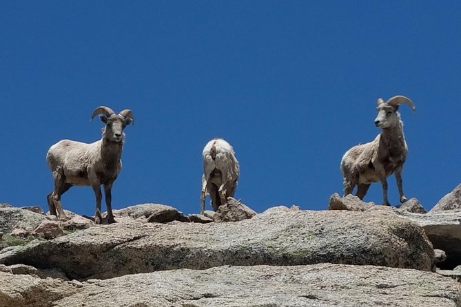 Mount Blue Sky 14,265ft Summit and Glacial Lakes - Denver to 14,000+ Feet: What the Altitude Really Means