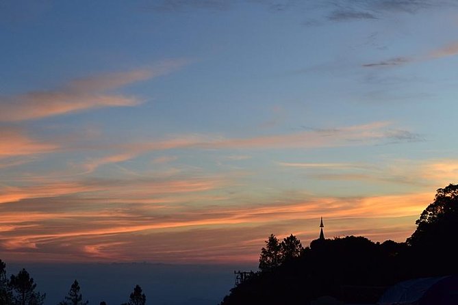 Mount Doi Inthanon National Park Sunrise and Hiking - Pha Dok Seaw Nature Trail: coffee culture plus rice fields and flowers