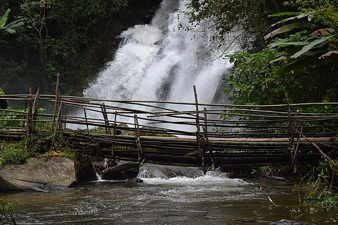 Mount Doi Inthanon National Park Sunrise and Hiking - Price and value: is $126.51 worth it?