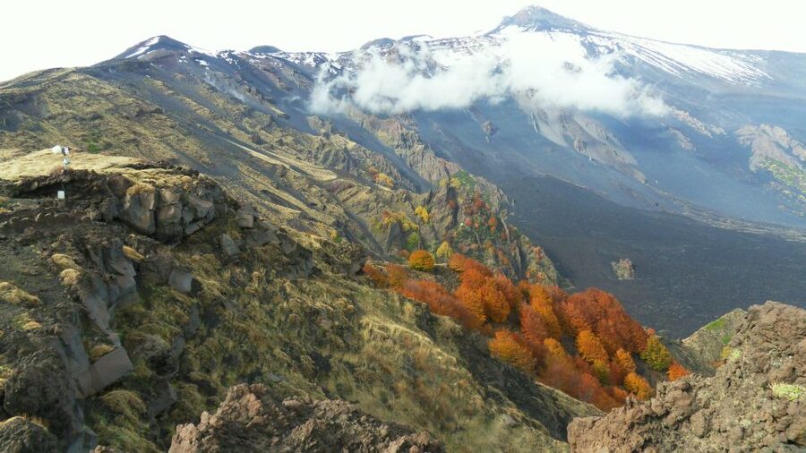 Mount Etna: Half-Day Guided Tour and Hike - Price and Value: Is $70 Worth a Half-Day on Etna?