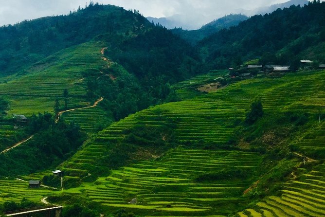 Mount Fansipan Hike 1 Day The Roof Of Indochina - Fansipan in one day: why this route hits different