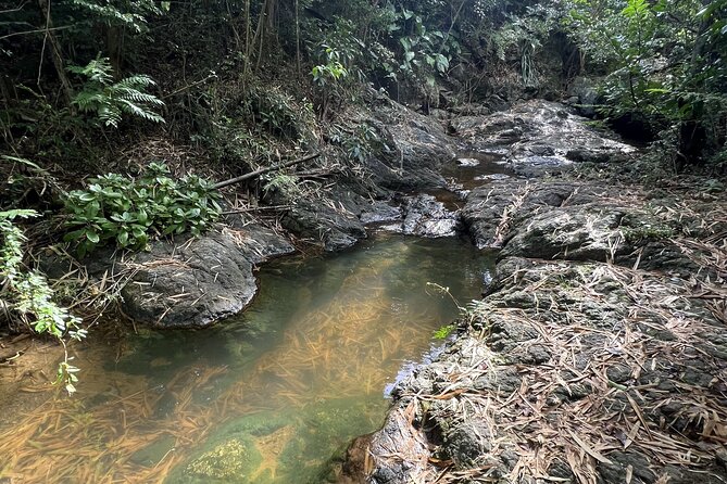 Mount Healthy National Park Private Hike Tour in Tortola - Key things I’d plan around