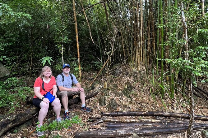 Mount Healthy National Park Private Hike Tour in Tortola - Meeting your guide and setting expectations on pace