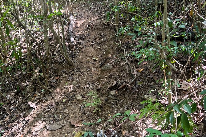 Mount Healthy National Park Private Hike Tour in Tortola - Weather can change the day, but your guide can adapt
