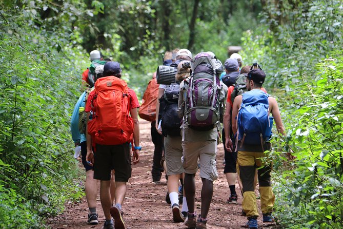 Mount Kilimanjaro Day Hike - One-Day Kilimanjaro from Arusha’s Marangu Gate