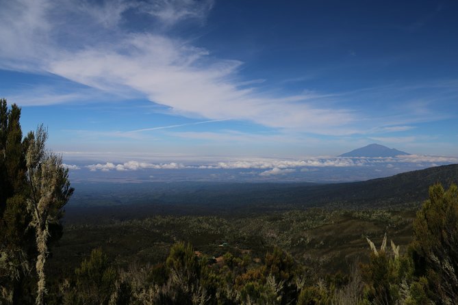 Mount Kilimanjaro Day Hike - 07:00 pickup and the 3-hour drive to the gate