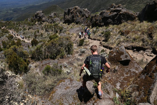 Mount Kilimanjaro Day Hike - Price and value: what $300 buys you (and what it doesn’t)