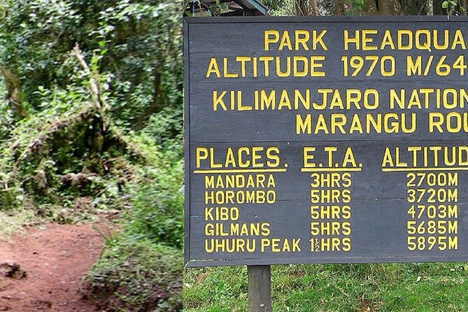 Mount Kilimanjaro Day Hike Through Marangu Route to Mandara Hut - Marangu Route Day Hike: what “Kilimanjaro” feels like in 10 hours
