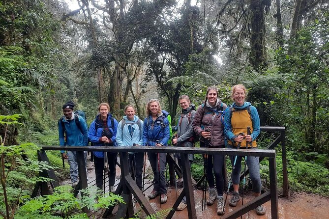 Mount Kilimanjaro Day Hike Through Marangu Route to Mandara Hut - From rainforest to Mandara Hut (2,700 m): pace, rain, and wildlife moments