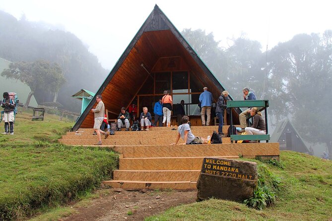 Mount Kilimanjaro Day Hike Through Marangu Route to Mandara Hut - Price and value: what $265 actually buys you