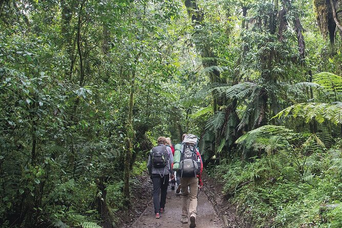 Mount Kilimanjaro Day Hike Through Marangu Route to Mandara Hut - Who this one-day Kilimanjaro hike fits best