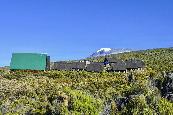 Mount Kilimanjaro Day Hike Through Marangu Route to Mandara Hut - 6:00 am starts and Marangu Gate logistics that keep things calm