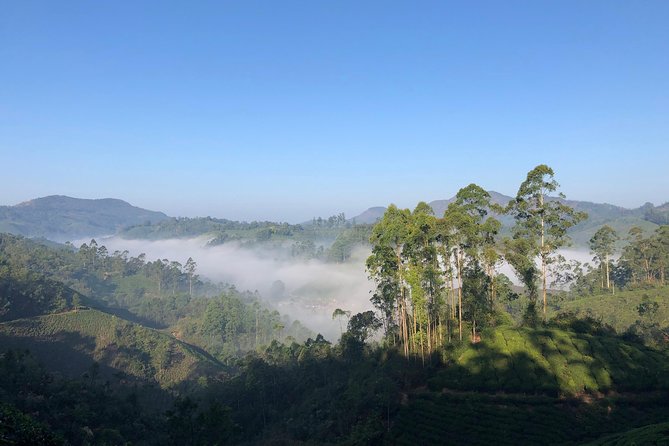 Mountain Hiking in Munnar (half day) By Munnar Info - Guides Who Actually Change the Hike (Rajamani, Ganesh, Samy, Vijay, Muri, Veeno)
