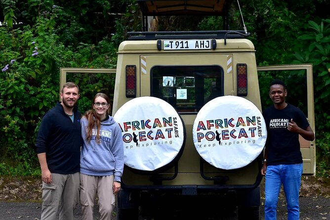 Mountain Kilimanjaro Day Hike - Mandara Hut picnic lunch: where the day resets