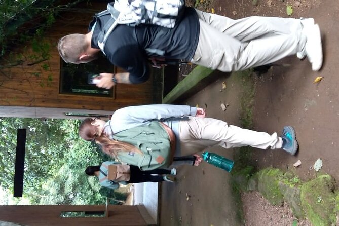 Mountain Kilimanjaro Day Hike - A guide makes the day: the names you’ll likely hear