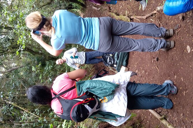 Mountain Kilimanjaro Day Hike - The rainforest trail: wildlife moments and uphill effort