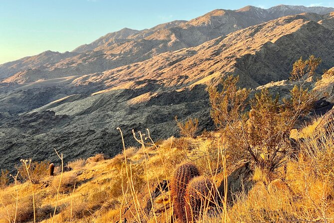 Mountain Sunrise Hike and Meditation in Palm Springs - Key Points I Think You’ll Care About