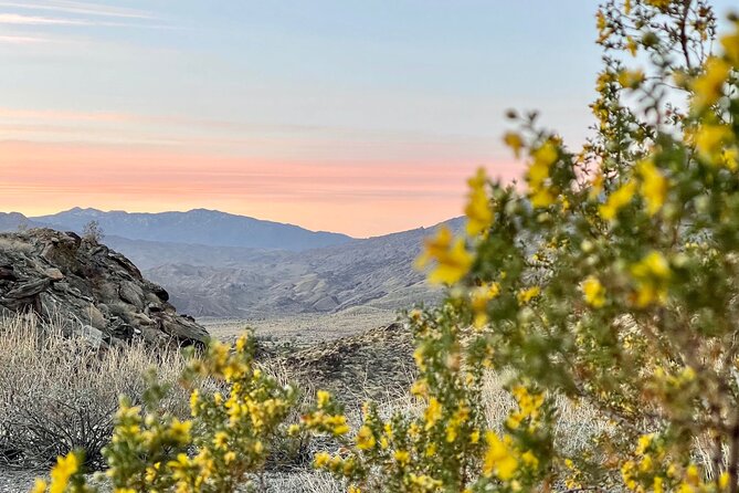 Mountain Sunrise Hike and Meditation in Palm Springs - Value Check: Is $108 Worth It for 2.5 Hours?