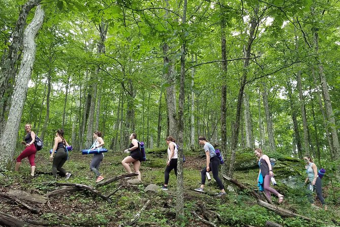 Mountaintop Yoga & Meditation Hike in Asheville - Price and Value: What $75 Buys You in Real Terms