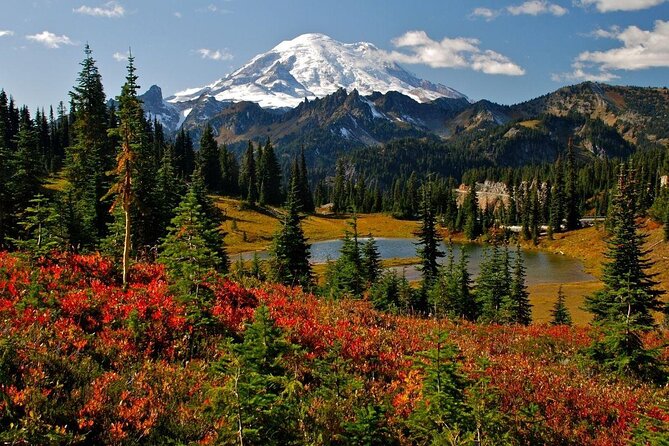 Mt. Rainier highlights - old forest, falls and glaciers - Key Highlights That Make This Tour Worth It