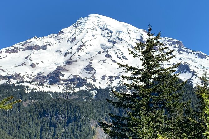 Mt. Rainier highlights - old forest, falls and glaciers - Reflection Lake: The Summer Magic vs. Winter Road Reality