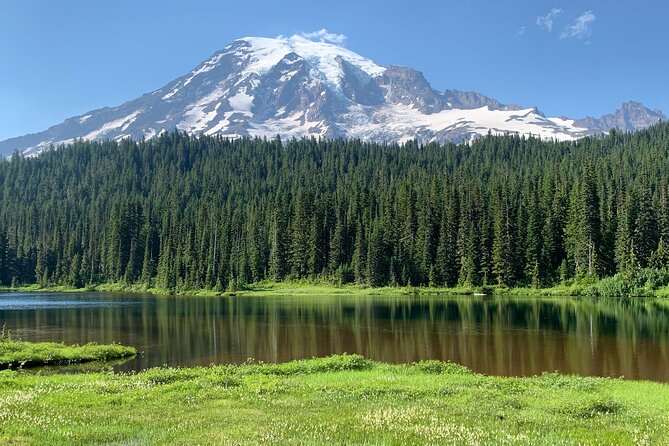 Mt. Rainier highlights - old forest, falls and glaciers - Old-Growth Forest Time at Longmire (Lower Elevation)