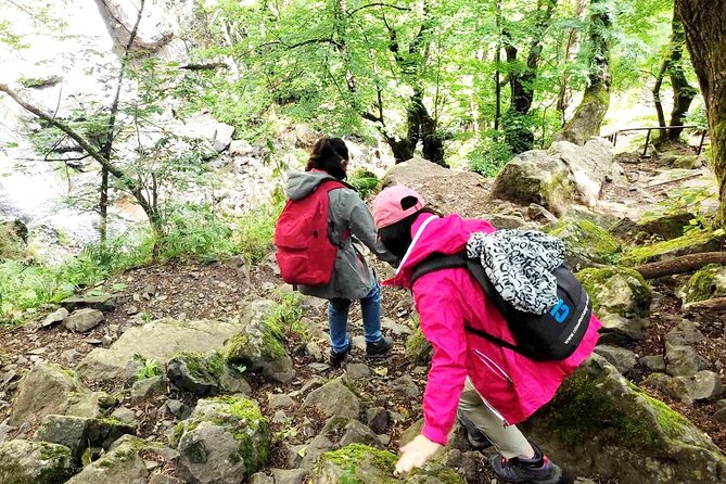 Mt. Vitosha and Boyana Waterfall Hiking Tour from Sofia - Key highlights worth planning around