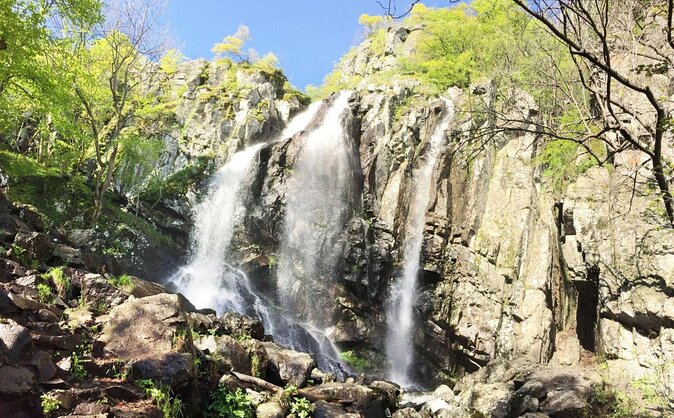 Mt. Vitosha and Boyana Waterfall Hiking Tour from Sofia - Vitosha and Boyana in one day: what the experience really feels like