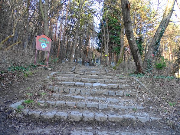 Mt. Vitosha and Boyana Waterfall Hiking Tour from Sofia - Stop 1: Hiking Mt. Vitosha for real summit views