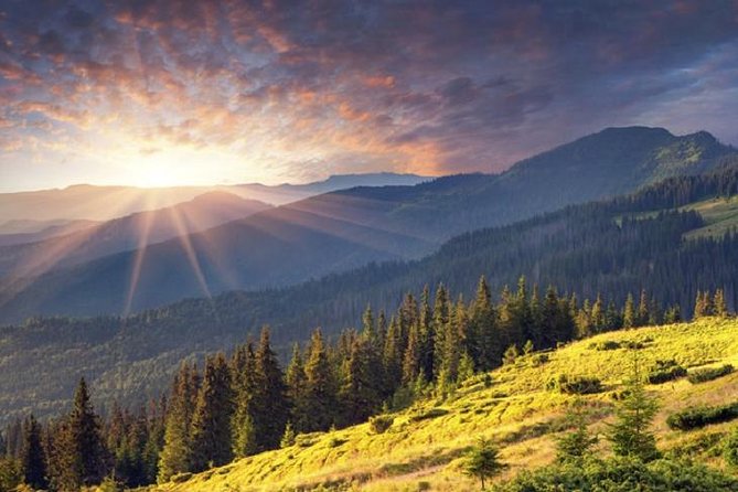 Mt. Vitosha and Boyana Waterfall Hiking Tour from Sofia - Stop 2: Boyana Waterfall for a scenic finish