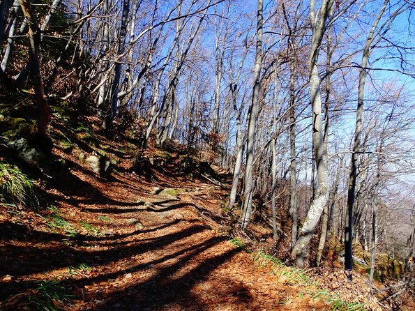 Mt. Vitosha and Boyana Waterfall Hiking Tour from Sofia - Weather and route changes: how flexible planning affects you