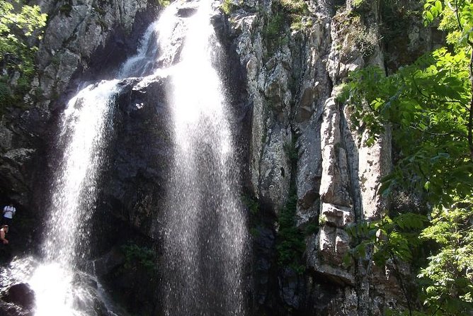 Mt. Vitosha and Boyana Waterfall Hiking Tour from Sofia - Who this tour is best for (and who should skip it)
