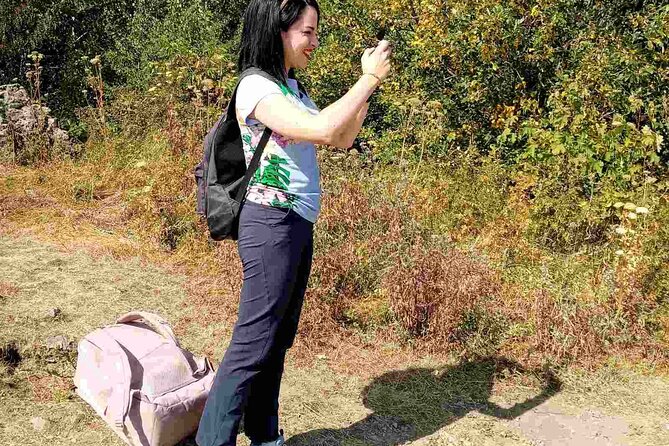 Mt. Vitosha and Boyana Waterfall Hiking Tour from Sofia - Price and logistics: does $131.81 feel fair?
