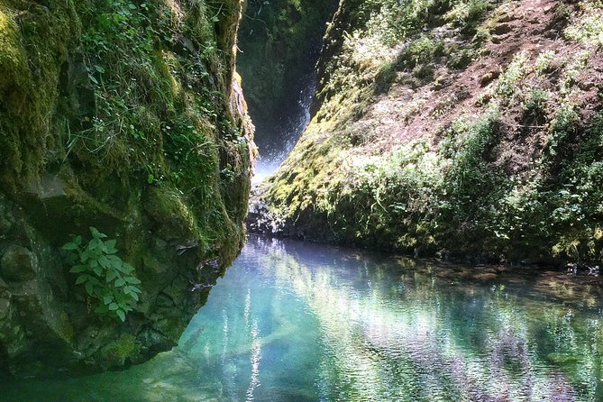 Multnomah Falls and Columbia River Gorge Half-Day Hiking Tour - The pacing: short stops, mini-hikes, and real viewpoint time