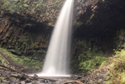 Multnomah Falls and Columbia River Gorge Half-Day Hiking Tour - Stop 1: Columbia River Gorge National Scenic Area