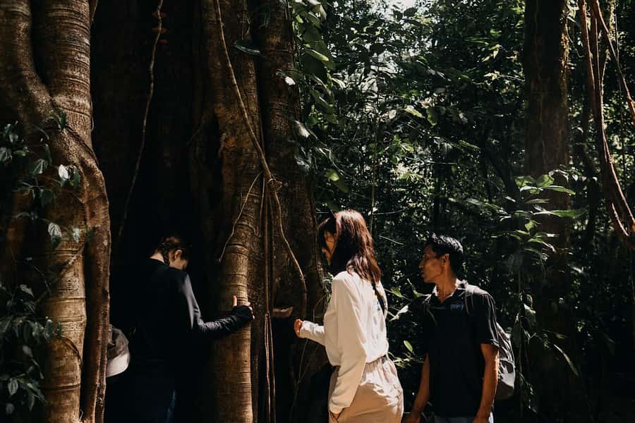 Munduk: Twin Lake Jungle Hike, Ulun Danu Temple, & Waterfall - Key points I’d plan around