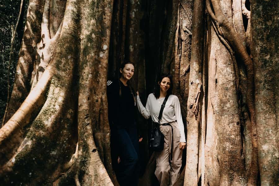 Munduk: Twin Lake Jungle Hike, Ulun Danu Temple, & Waterfall - Lunch, coffee/tea, and snacks: how the day stays fueled